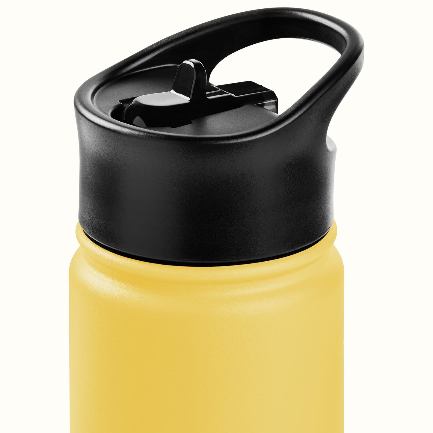 Alder Insulated Stainless Steel Water Bottle