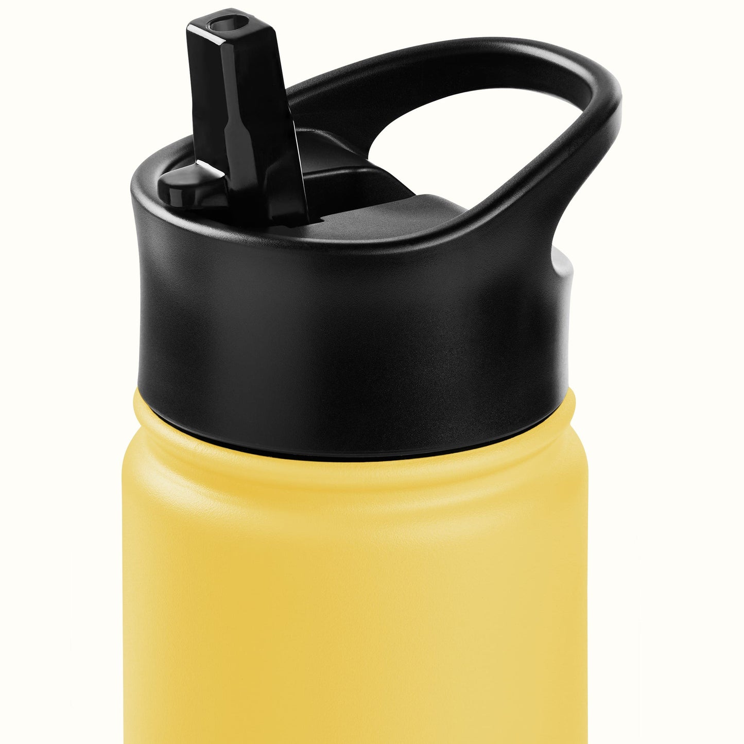 Alder Insulated Stainless Steel Water Bottle