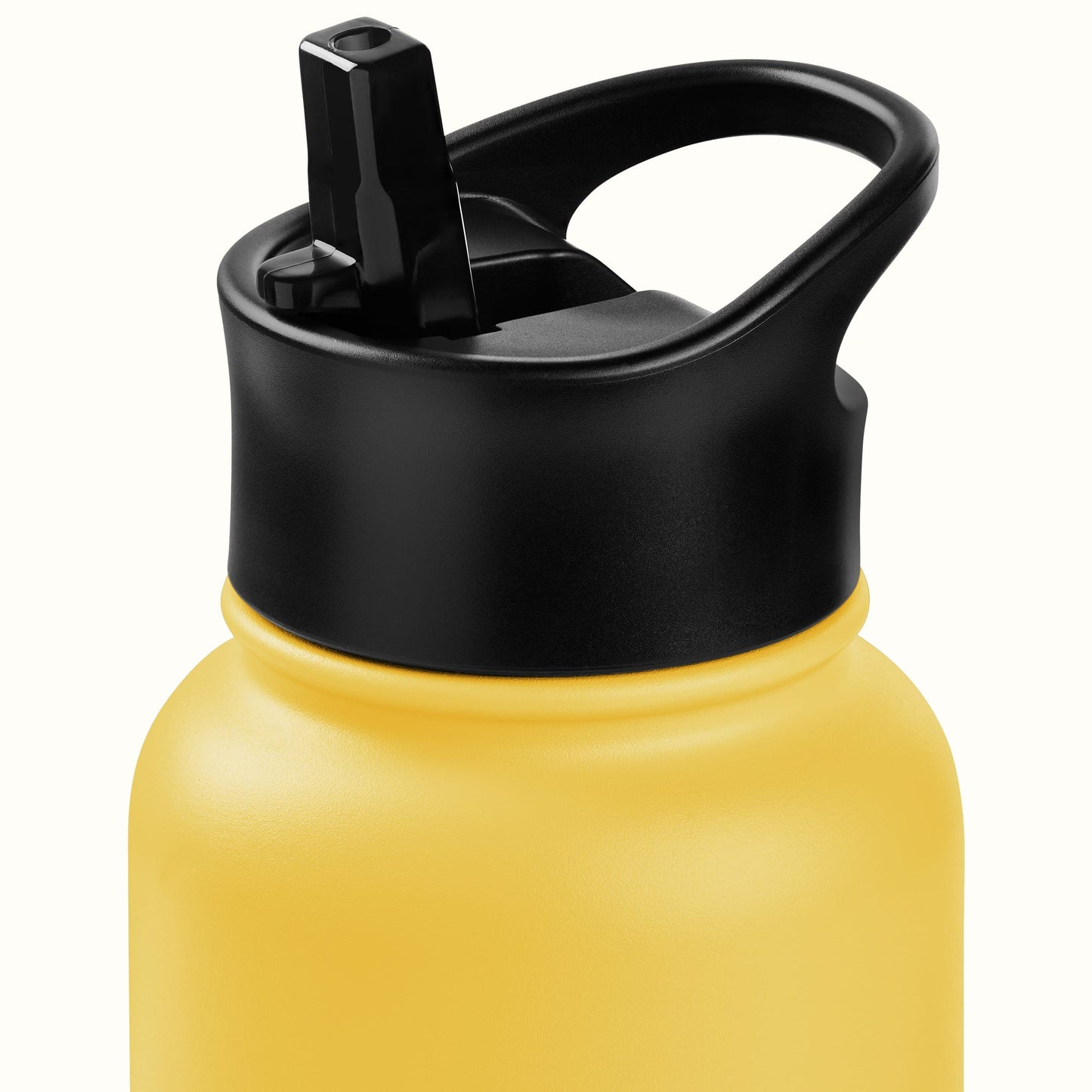 Alder Insulated Stainless Steel Water Bottle