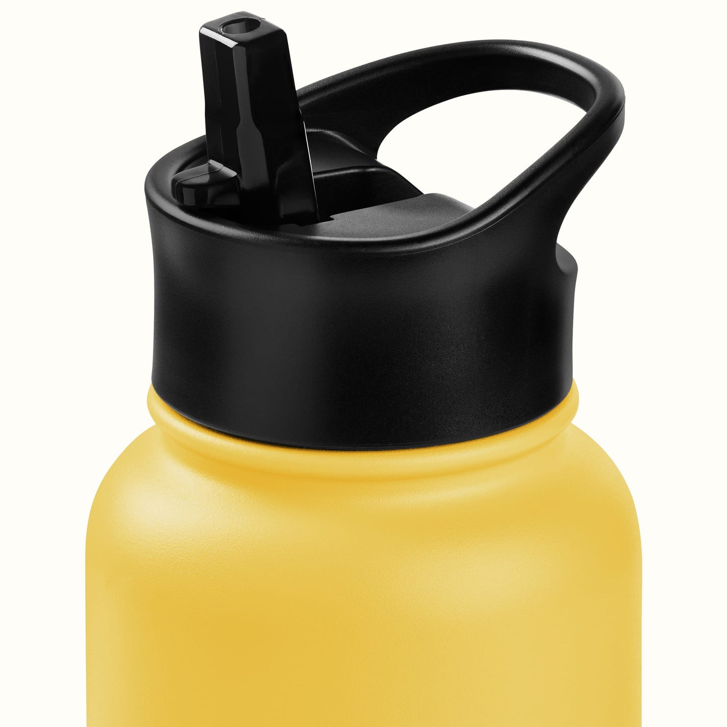 Alder Insulated Stainless Steel Water Bottle