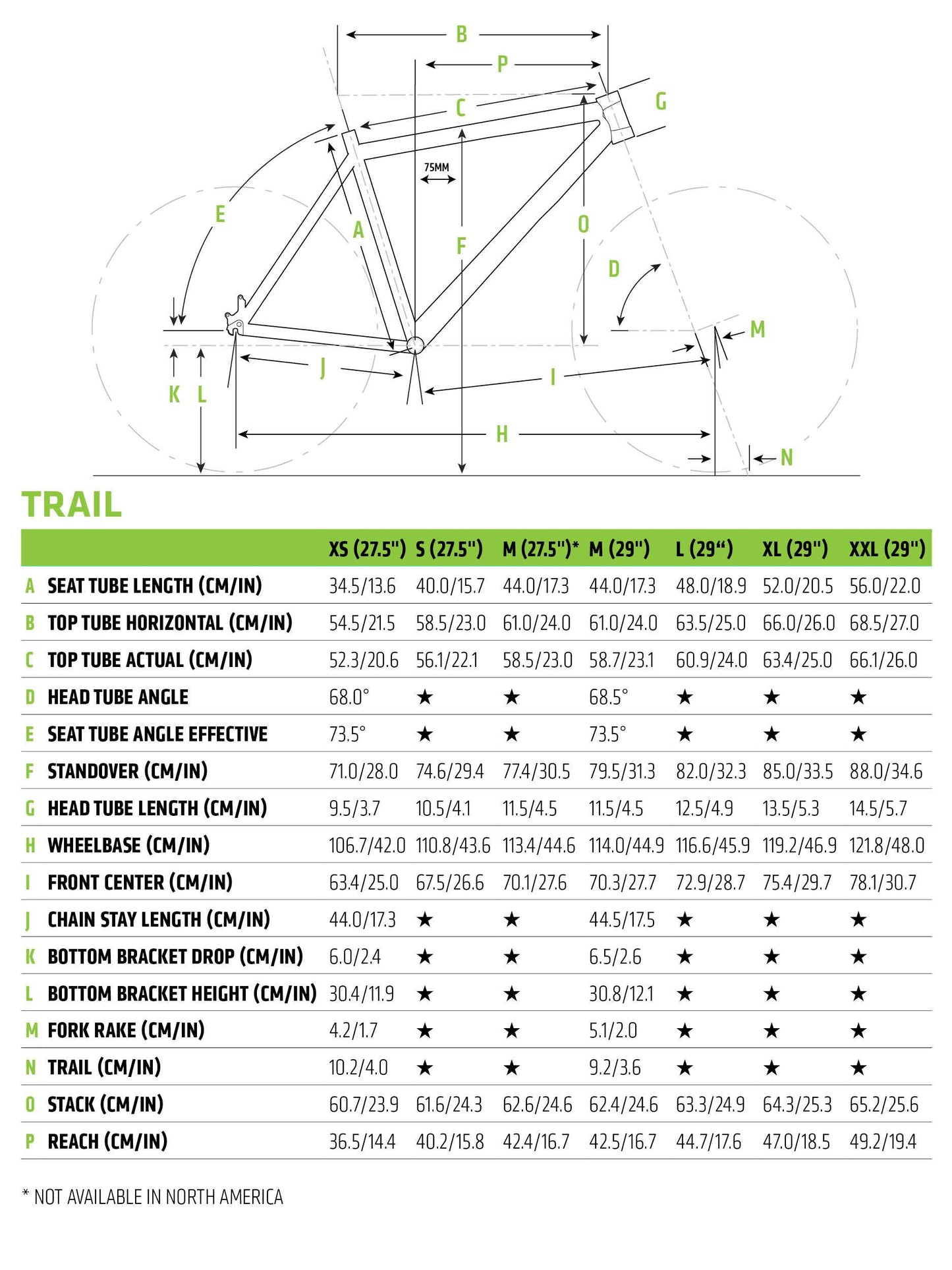 Cannondale Trail 4 Mountain Bike 2019