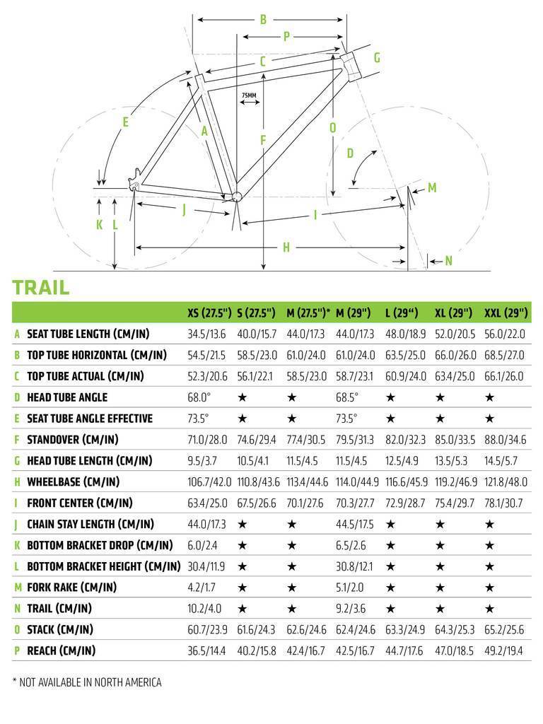Cannondale Trail 7 Mountain Bike 2019