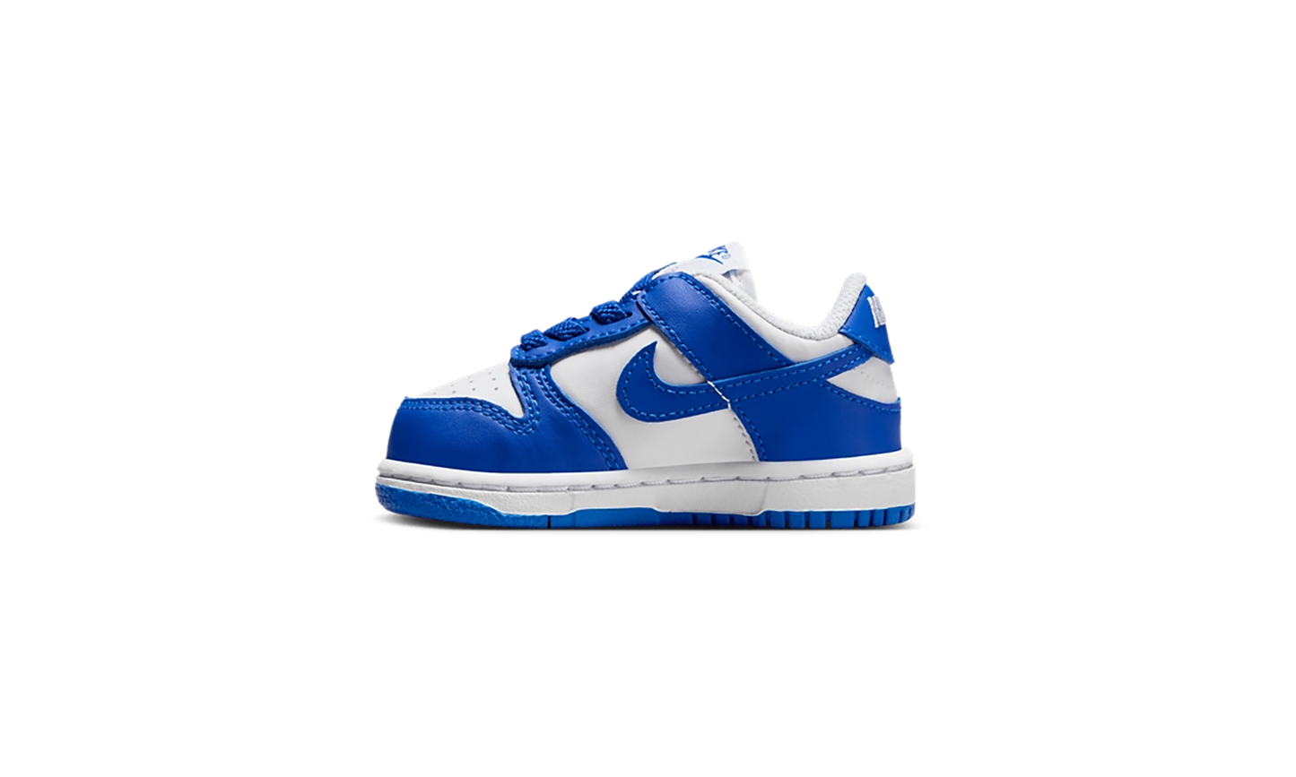 Dunk Low TD "Concord"