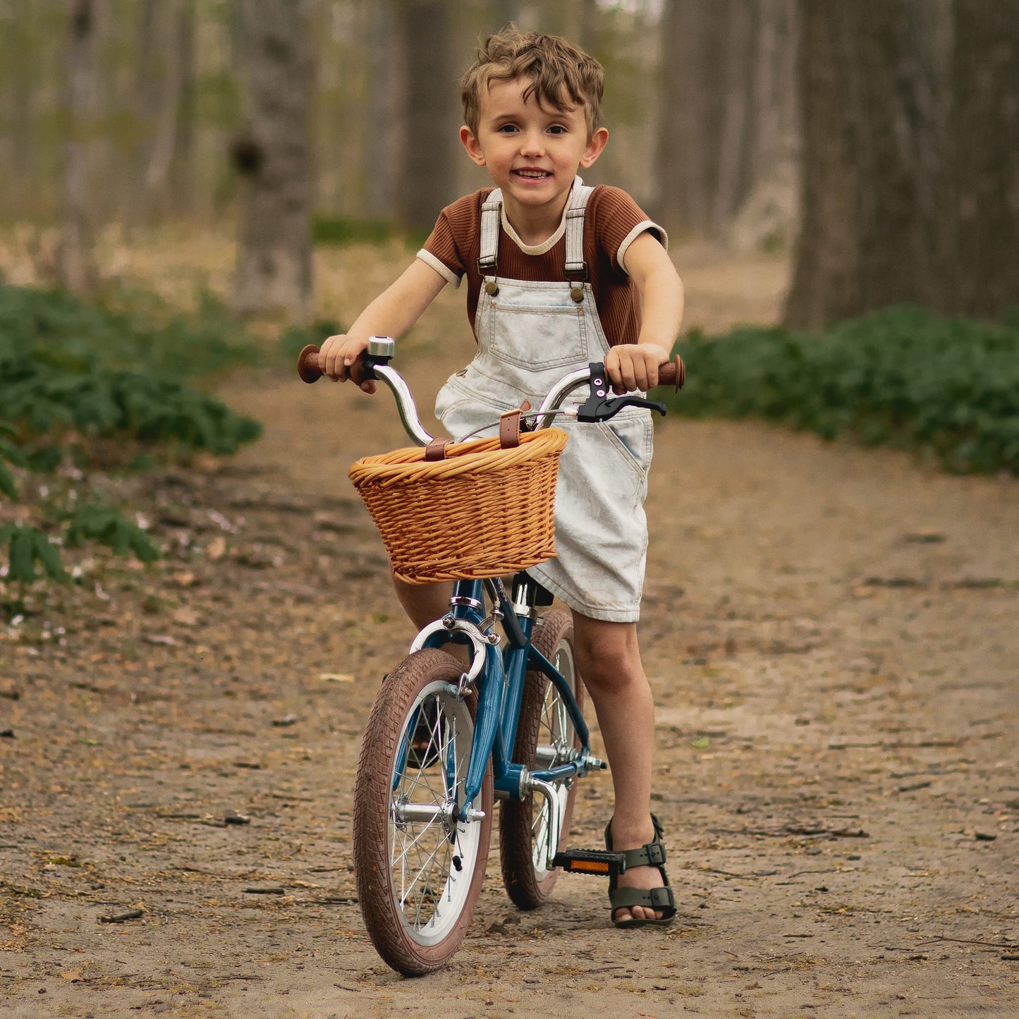 Beaumont Mini 16" Kids' Bike (4-6 yrs)
