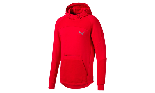 EVOSTRIPE HOODY "High"