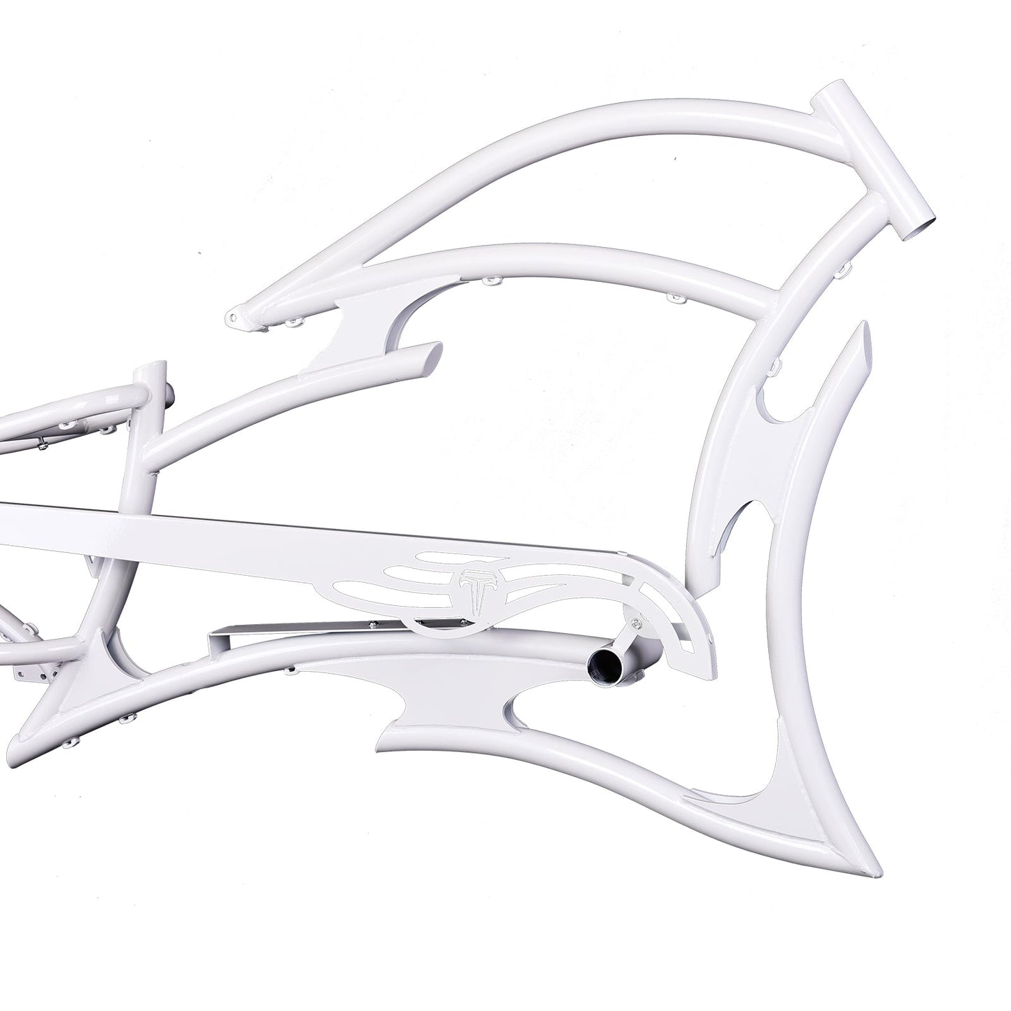 FM-RAPTOR Ebike Frame
