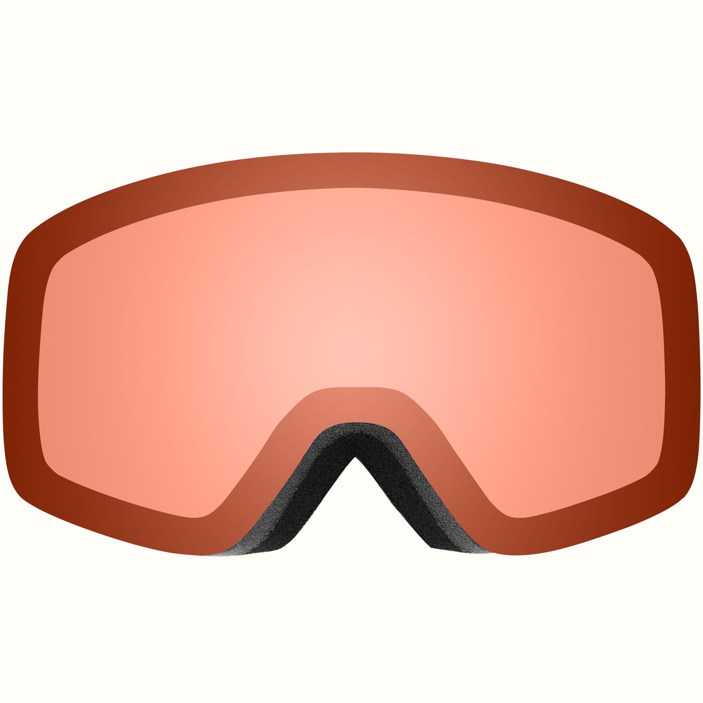 Flume Ski & Snowboard Goggles
