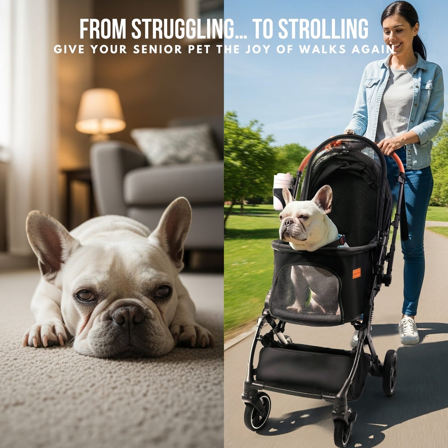 Foldable Pet Stroller for Small Dogs Cats Up to 45lbs |  BB-C330H