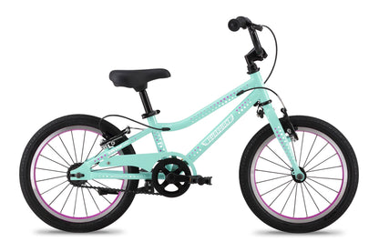 16 Inch Bike