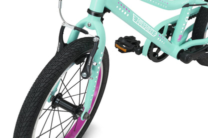 16 Inch Bike