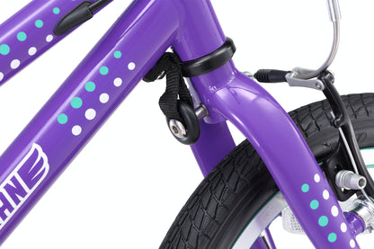 16 Inch Bike