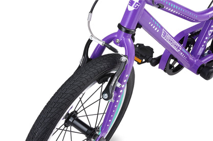 16 Inch Bike