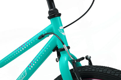 20 Inch Small Bike