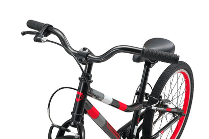 20 Inch Small Bike