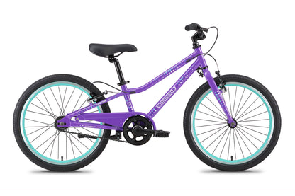 20 Inch Small Bike