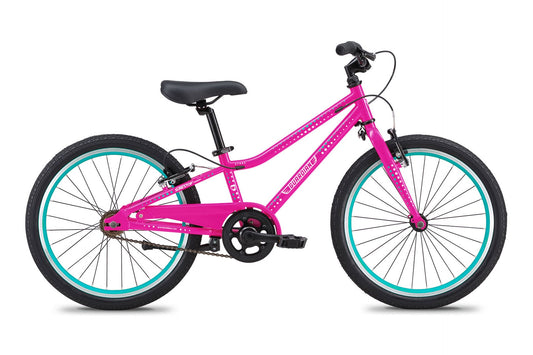 20 Inch Small Bike