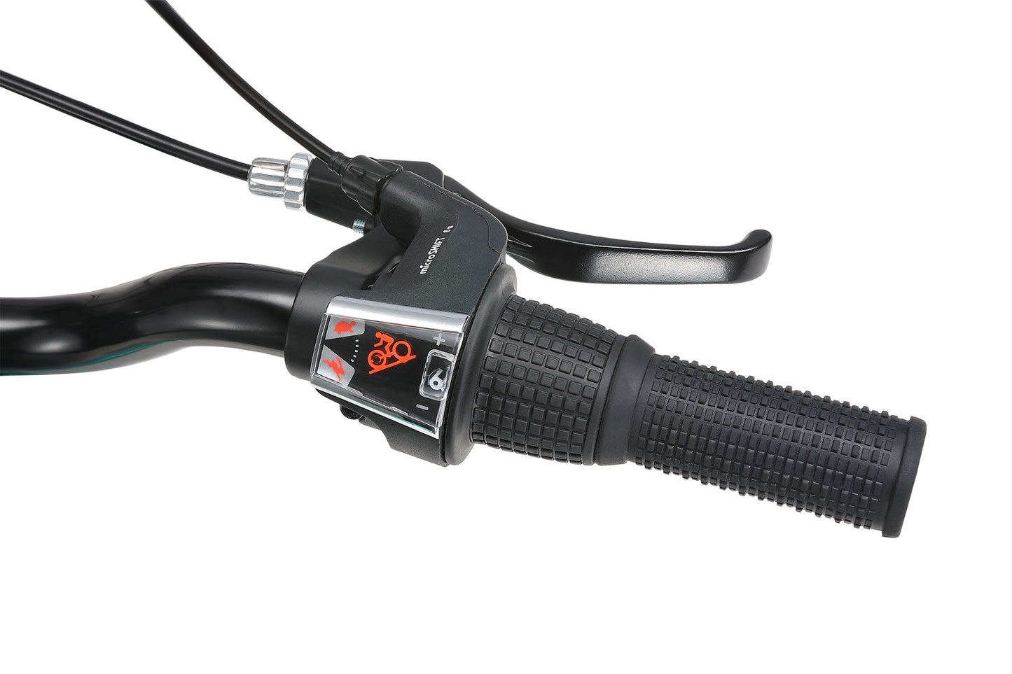 20 Inch Large Bike