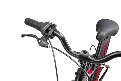 20 Inch Large Bike