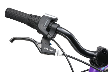 24 Inch Bike