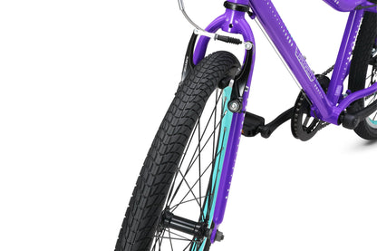 24 Inch Bike