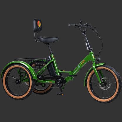 Boca Rev Electric Tricycle