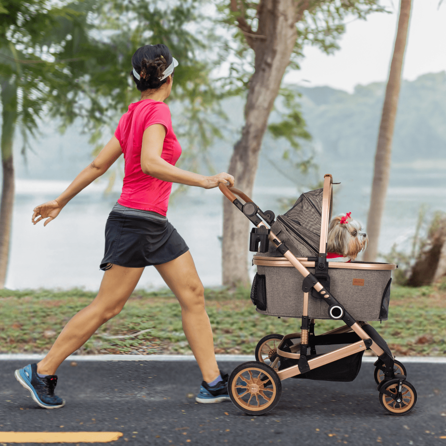 3 in 1 Pet Stroller with Detachable Carrier, Rubber Wheels | HLD-X6DD