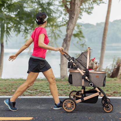 3 in 1 Pet Stroller with Detachable Carrier, Rubber Wheels | HLD-X6DD