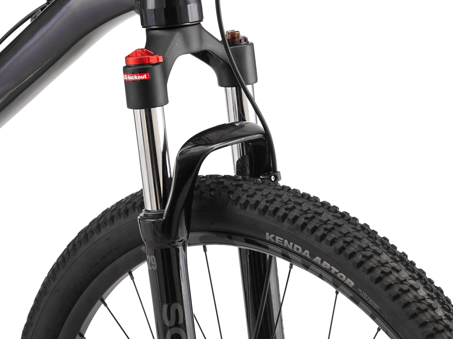 Altura 2.5 - 29in