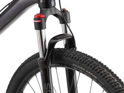 Altura 2.5 - 29in