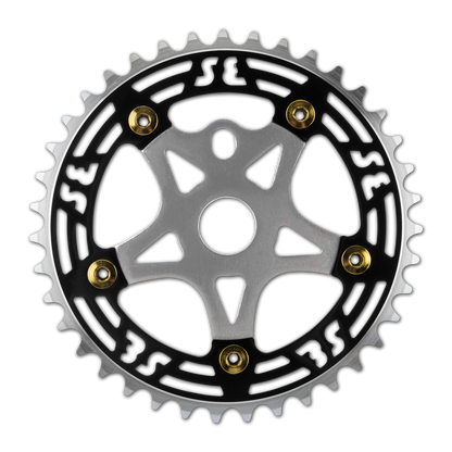 Alloy Chainring and Spider