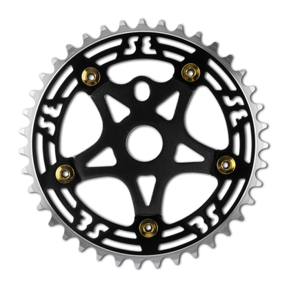 Alloy Chainring and Spider