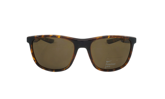 Essential Endeavor Polarized Sunglasses "Tortoise"