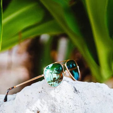 Bajio Soldado Polarized Sunglasses in Silver Gloss