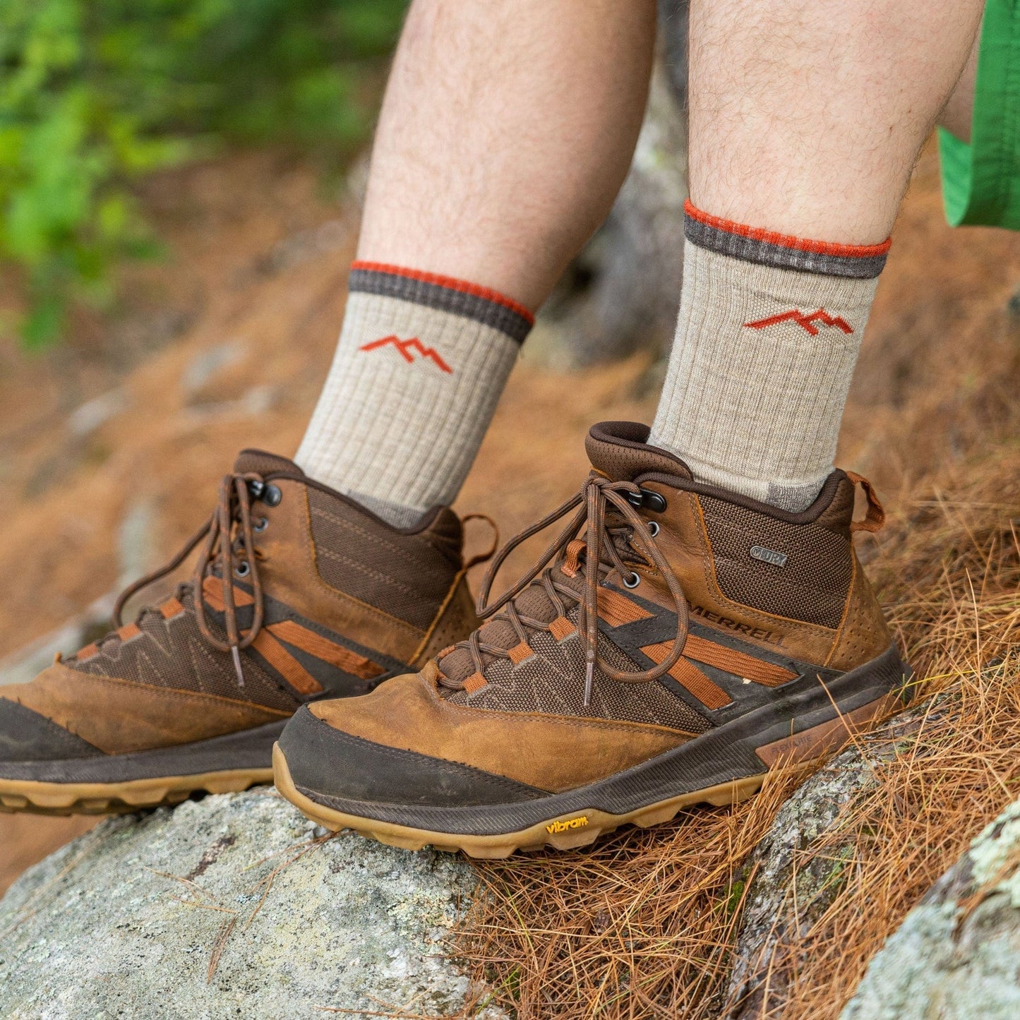 Darn Tough Hiker Micro Crew Cushion Sock - Men's