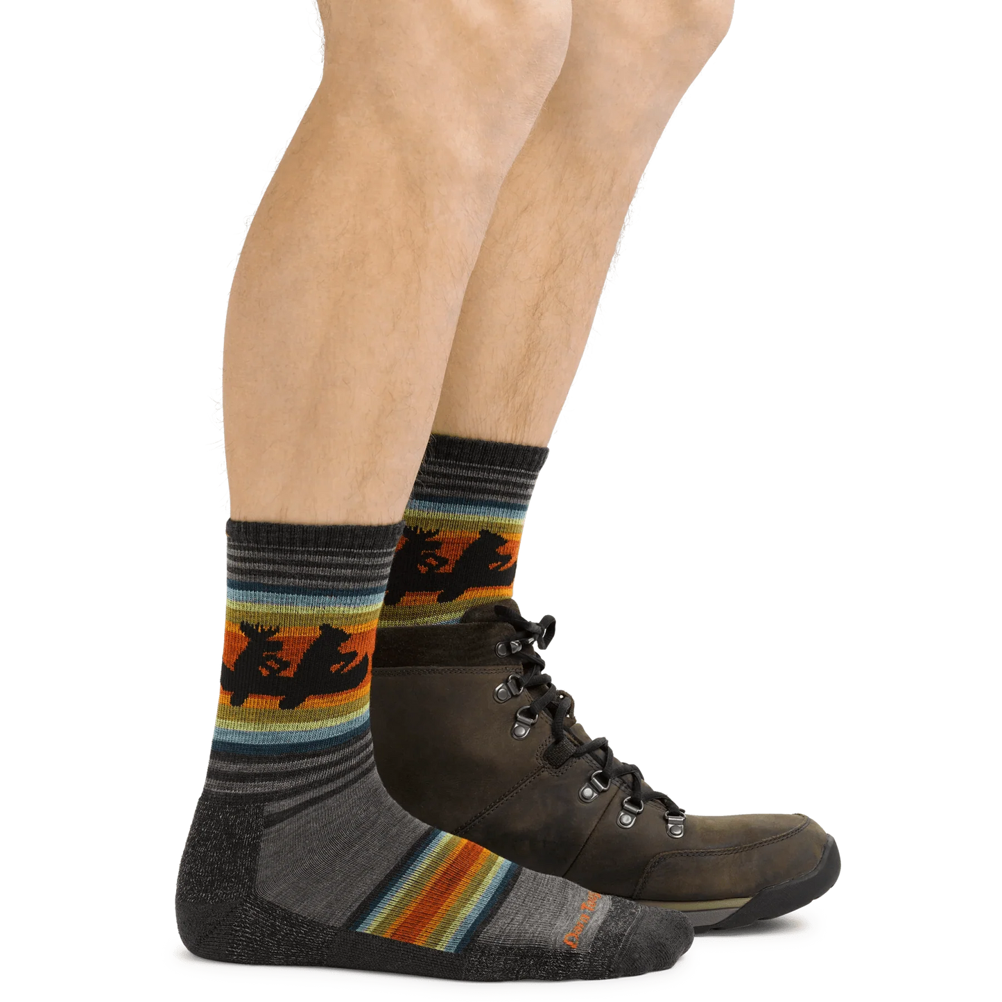 Darn Tough Willoughby Micro Crew Lightweight Hiking Sock - Men's