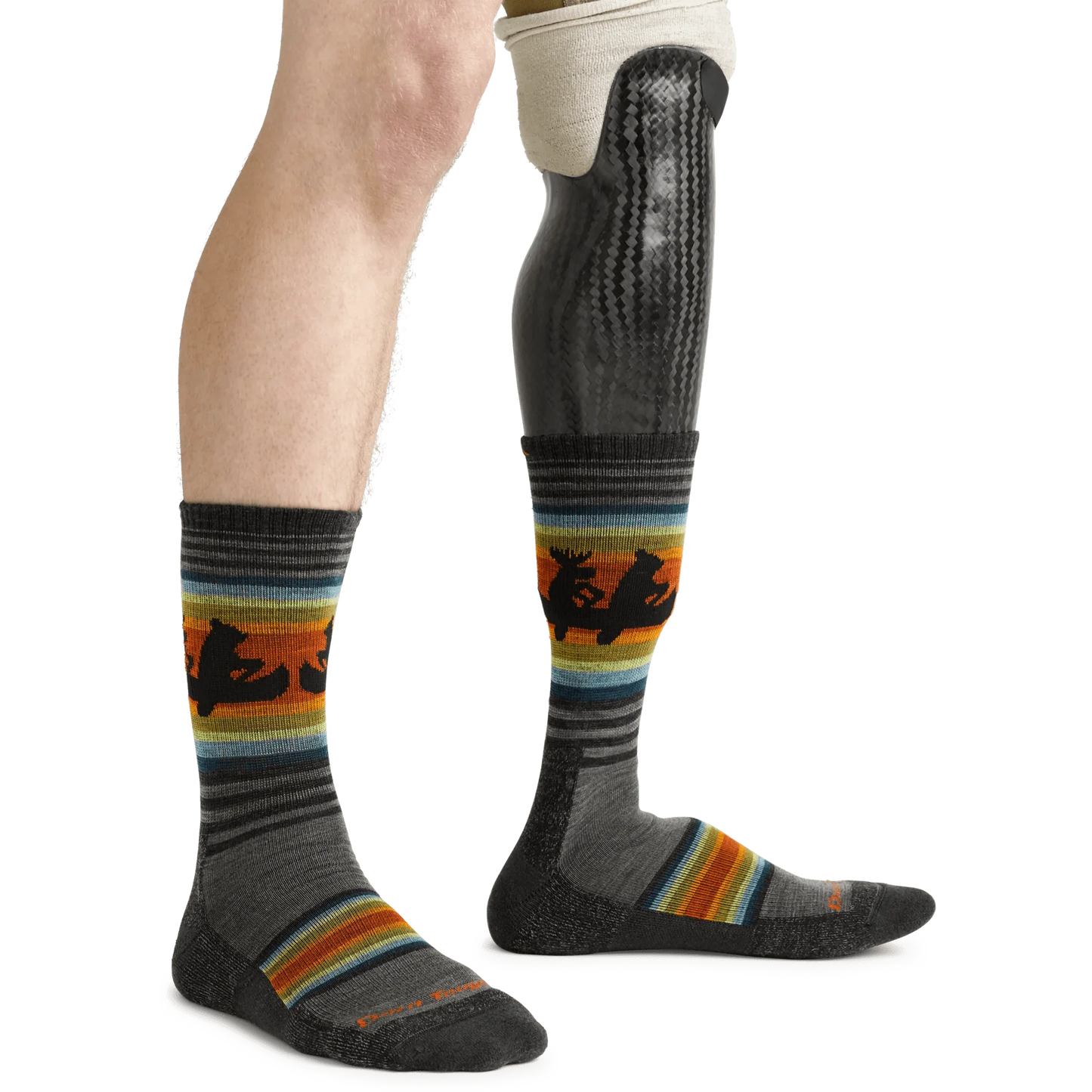 Darn Tough Willoughby Micro Crew Lightweight Hiking Sock - Men's