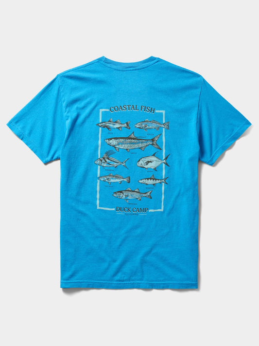 Duck Camp Men's Fish Of The Coast Graphic Tee in Vintage Royal