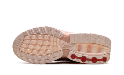Air Max Dn WMNS "Washed Coral Guava Ice"