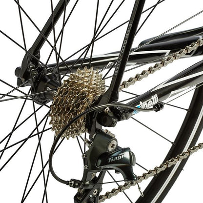 Cinelli Experience Tiagra Road Bike