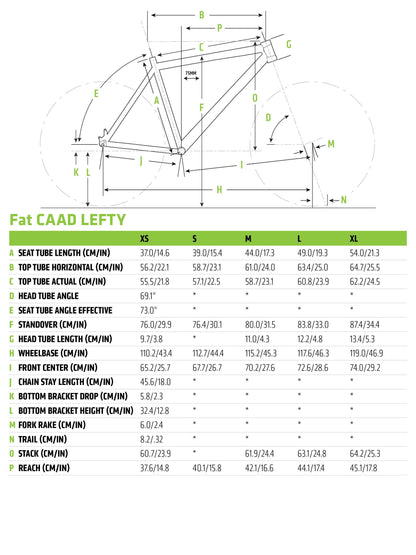 Cannondale Fat CAAD 1 Mountain Bike 2019