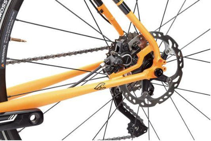 Cinelli Hobootleg Interail Gravel Bike 2019