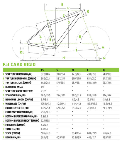 Cannondale Fat CAAD 2 Mountain Bike 2019