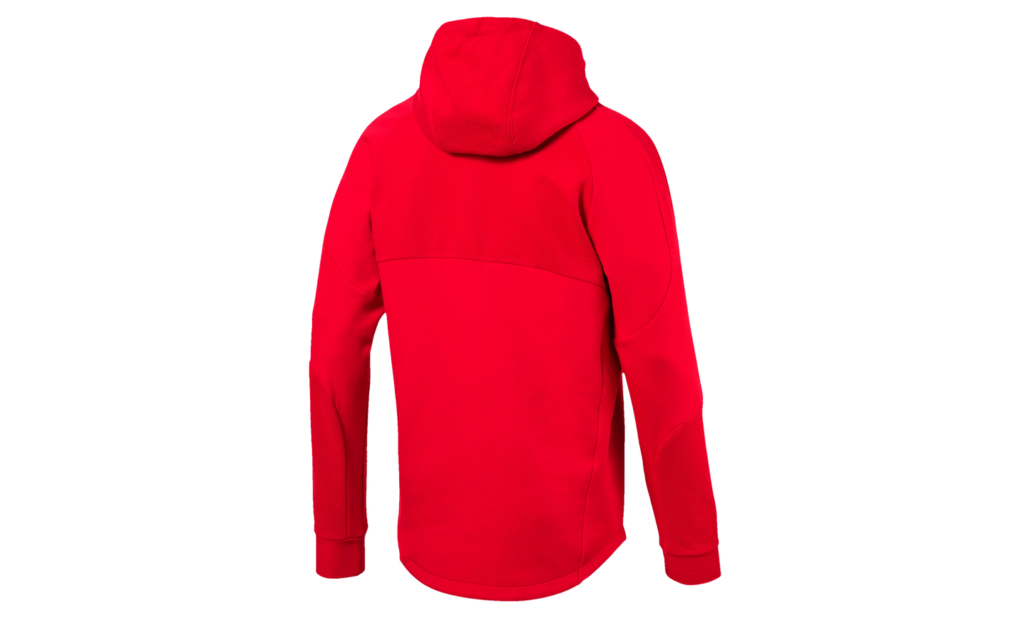 EVOSTRIPE HOODY "High"
